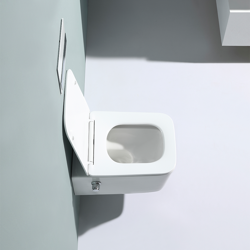 2467D-BD Wandhängendes WC – Modernes, geräuscharmes, randloses Design mit Soft-Close-Sitz
