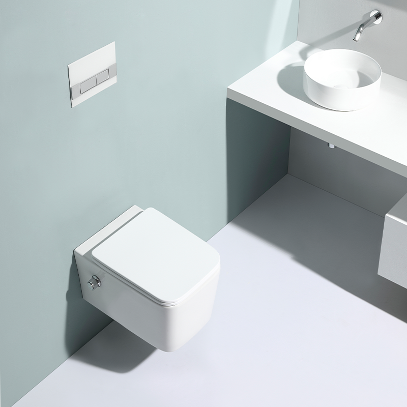 2467D-BD Wandhängendes WC – Modernes, geräuscharmes, randloses Design mit Soft-Close-Sitz