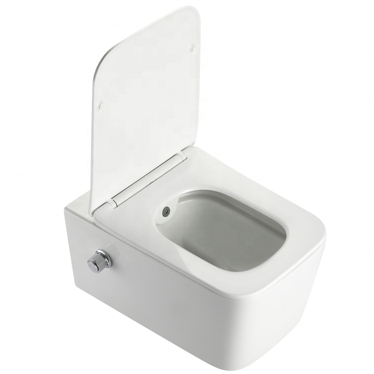 2467D-BD Wandhängendes WC – Modernes, geräuscharmes, randloses Design mit Soft-Close-Sitz