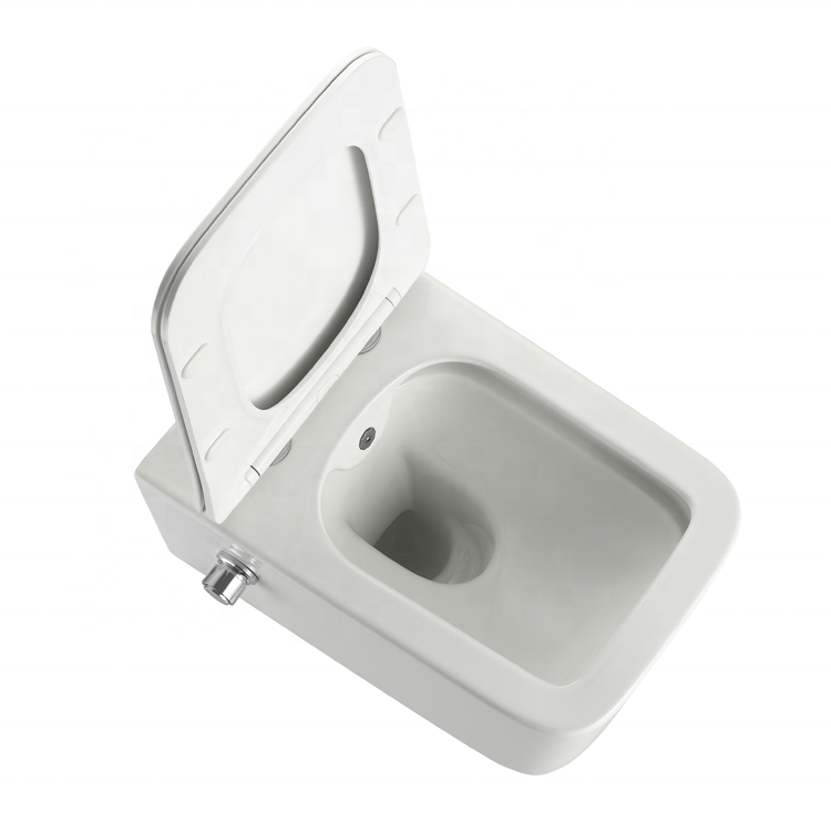 2467D-BD Wandhängendes WC – Modernes, geräuscharmes, randloses Design mit Soft-Close-Sitz