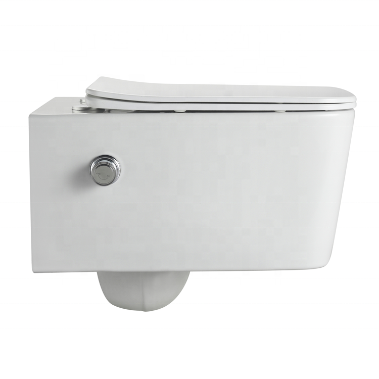 2467D-BD Wandhängendes WC – Modernes, geräuscharmes, randloses Design mit Soft-Close-Sitz