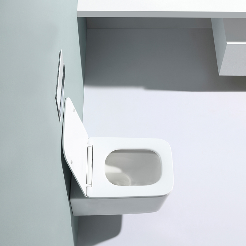 2467D WC Sospeso Moderno in Ceramica Rimless con Sedile Soft Close
