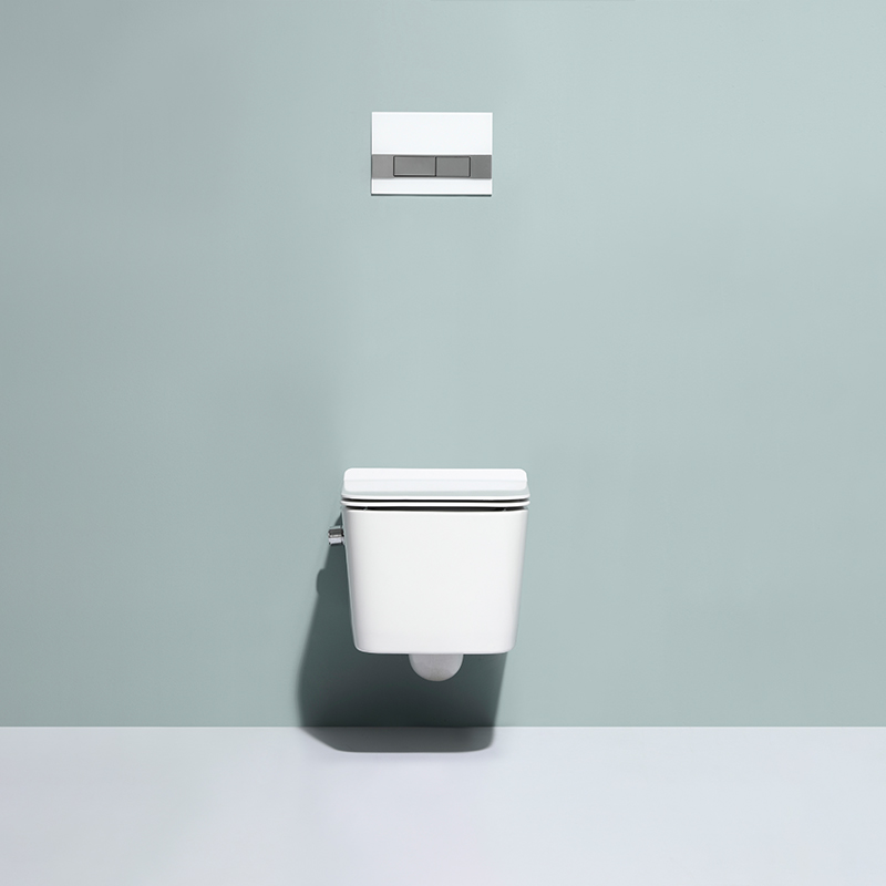 Wall-Hung Toilet with Bidet Function | Model 2467D-BD | Compact & Modern Ceramic WC