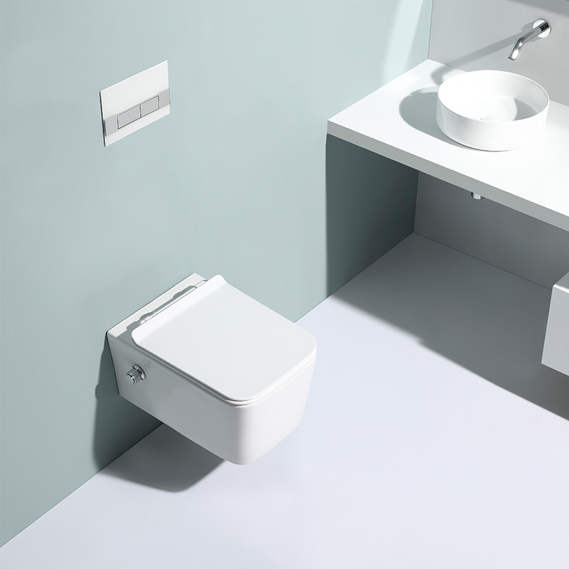 Wall Hung Toilet 2467D-BD | Silent Soft-Close Modern Ceramic WC