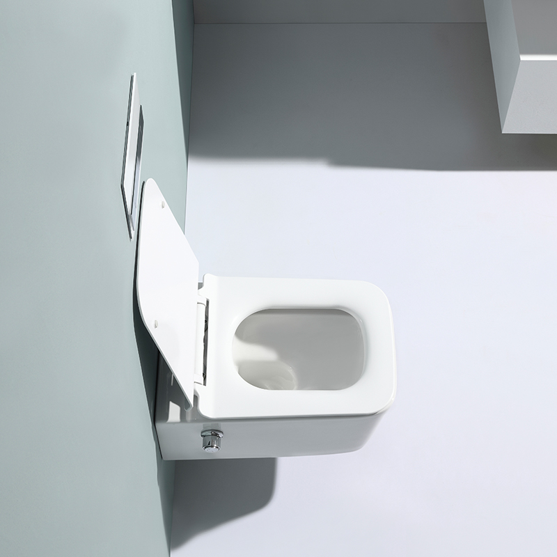 Wall-Hung Toilet with Bidet Function | Model 2467D-BD | Compact & Modern Ceramic WC