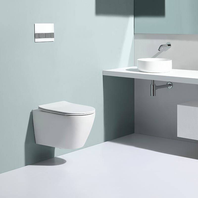 Model 2476D Wall Hung Toilet Modern Rimless Ceramic Wall Mounted WC