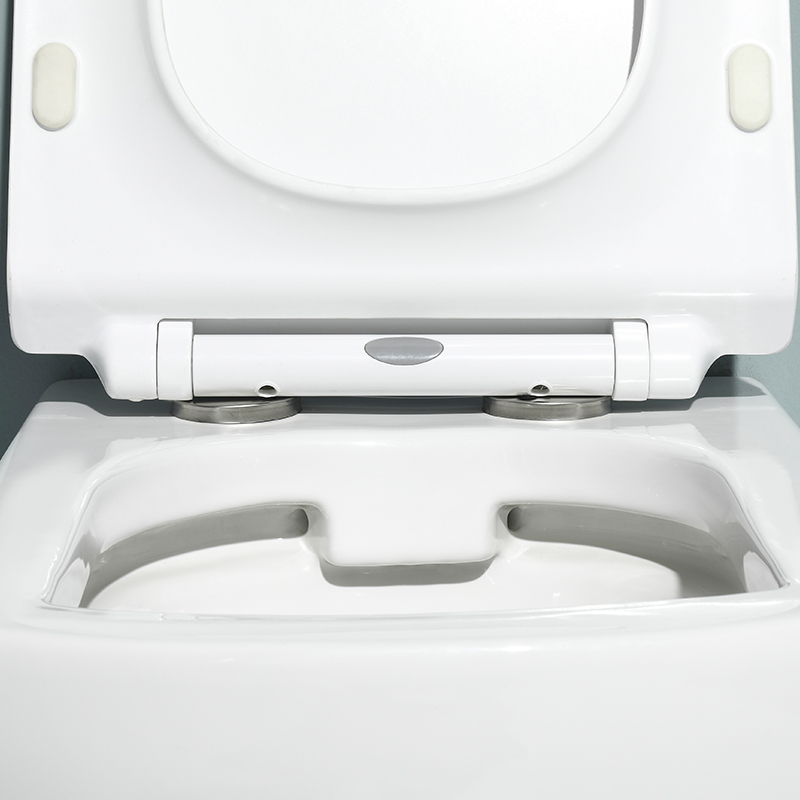 Minimalist Rimless Wall-Hung Ceramic Toilet - Model 2496
