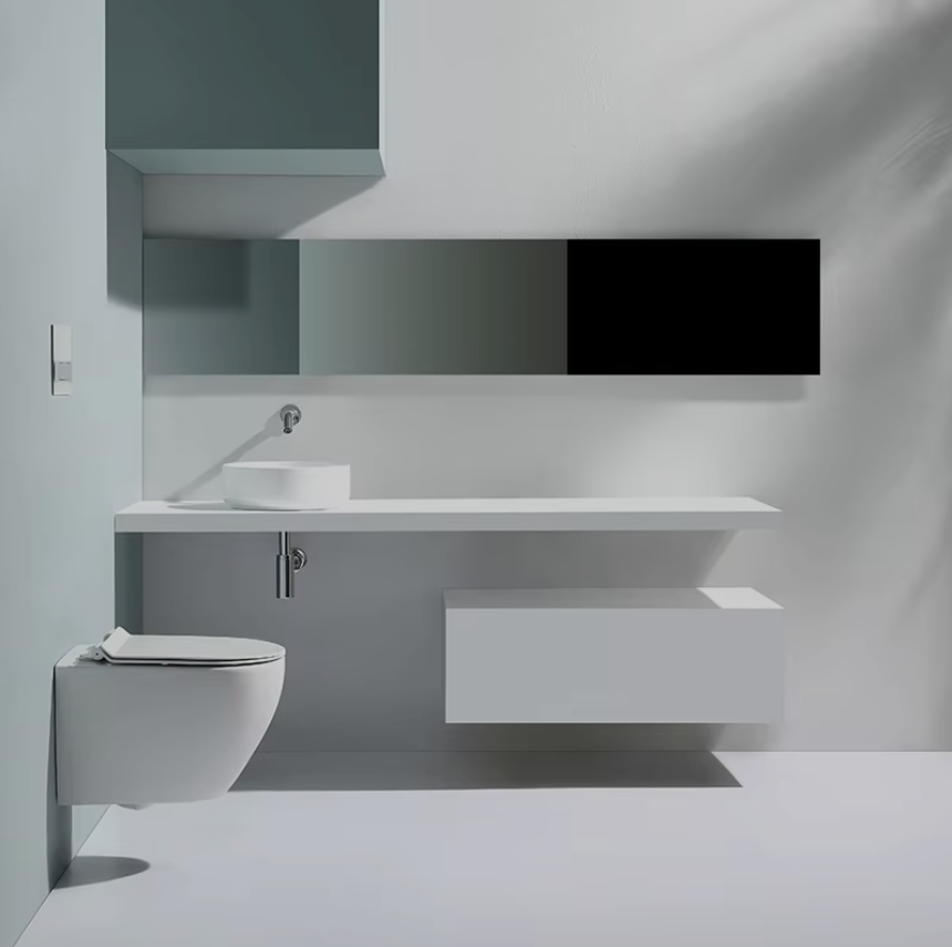 Contemporary Wall-Hung Toilet (Model 2479A)