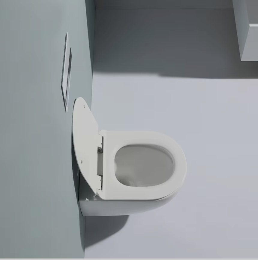 Contemporary Wall-Hung Toilet (Model 2479A)