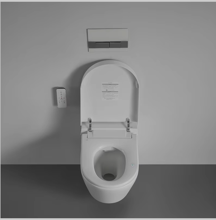 BF2497 Smart Wall Hung Toilet with Remote Control Instant Heating Bidet Toilet