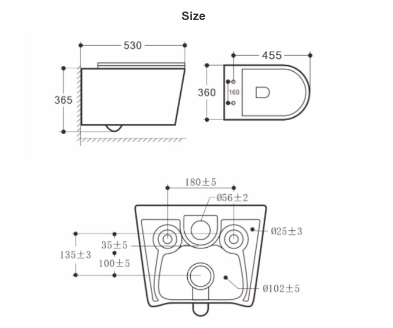 BF2366 Matte Black Wall-Hung Ceramic Toilet with Washdown Flushing and Soft Close UF Seat