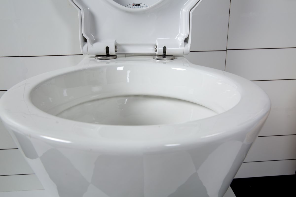 BF2409 Rimless Wall Hung Toilet – Ceramic, Soft Close PP Seat