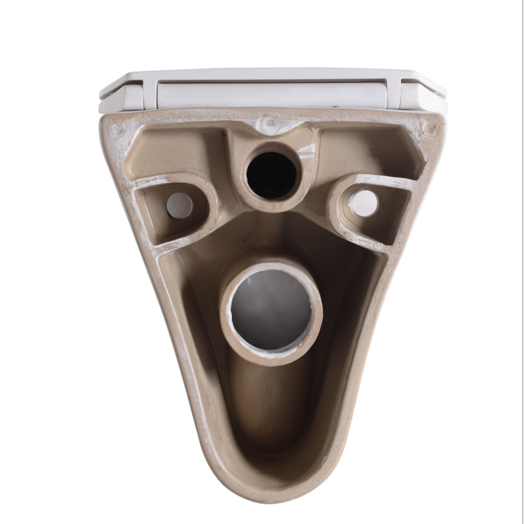BF2420D Wall-Hung Ceramic Toilet, Washdown Flushing, 3/6L, Soft Close UF Seat