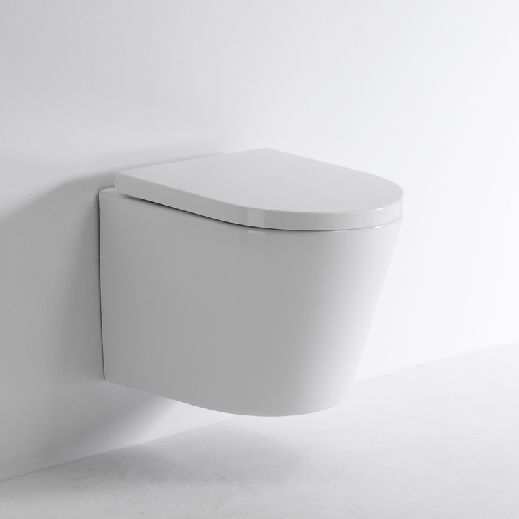 BF2422 Rimless Wall-Hung Ceramic Toilet with Washdown Flush, 3/6L, Soft Close UF Cover