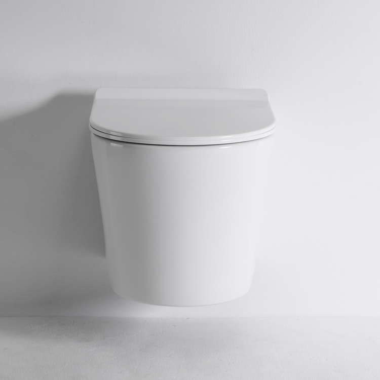 BF2422 Rimless Wall-Hung Ceramic Toilet with Washdown Flush, 3/6L, Soft Close UF Cover