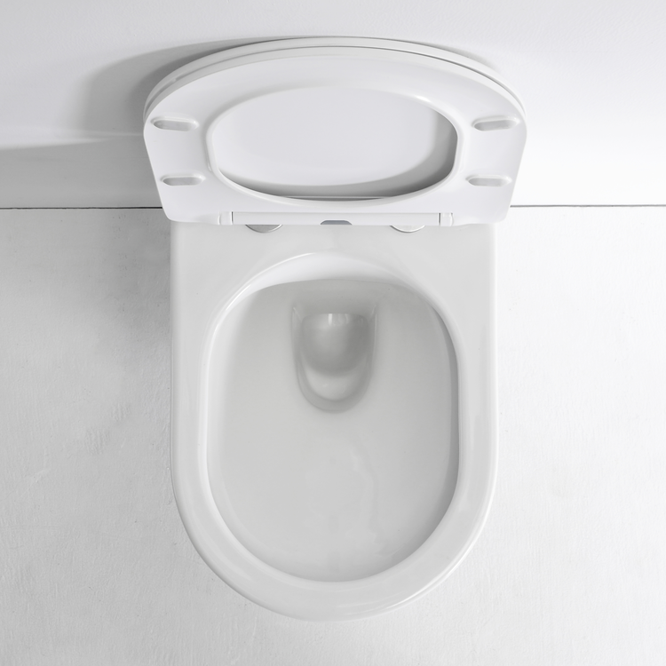 2442D Modern Wall Hung Toilet Ceramic Rimless Floating WC with Soft Close Seat