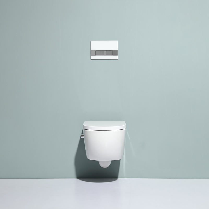 Modern Rimless Wall-Hung Toilet Ceramic Bathroom WC