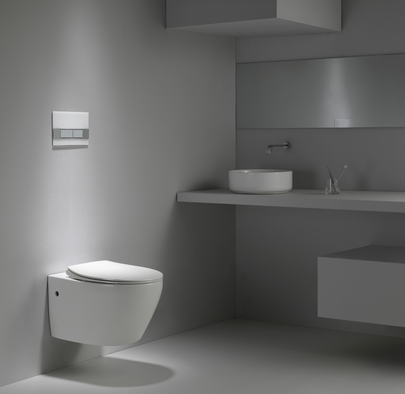 2475D Rimless Wall Hung Toilet