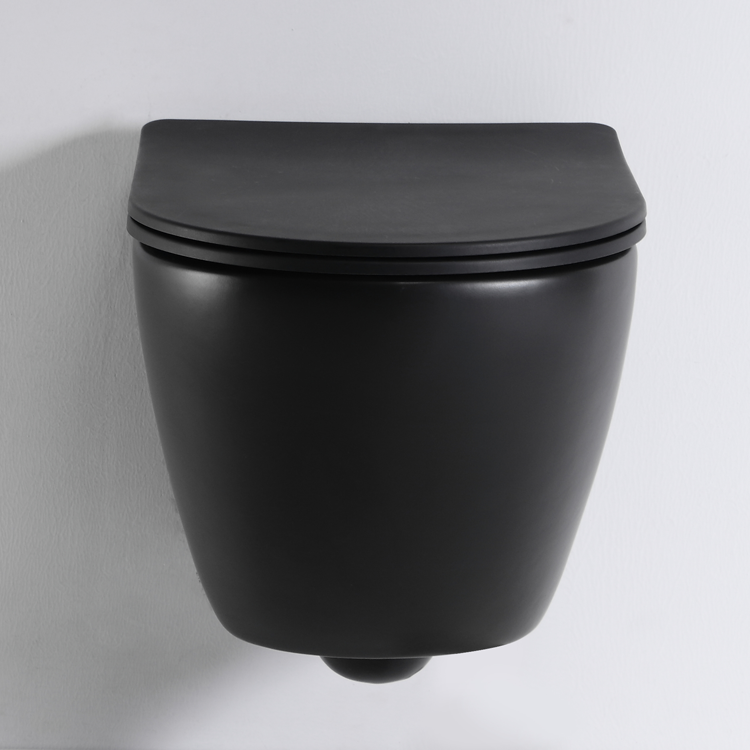 Toilette Suspendue Noire Mat - Modèle BF2478DB-MATT