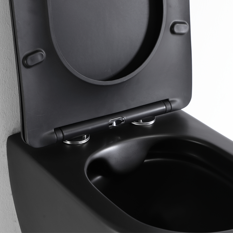 Wall-Hung Rimless Toilet BF2478 DB-MATT Matte Black Ceramic WC with Washdown Flushing