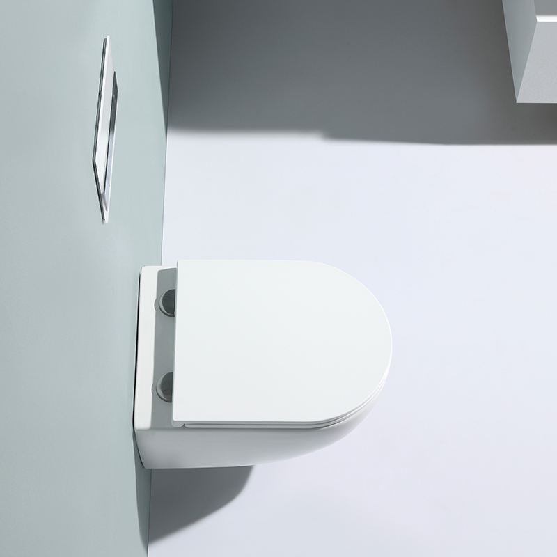 Wall-Hung Toilet 2479E – Contemporary Design with Quiet Soft-Close Seat & Eco Flush