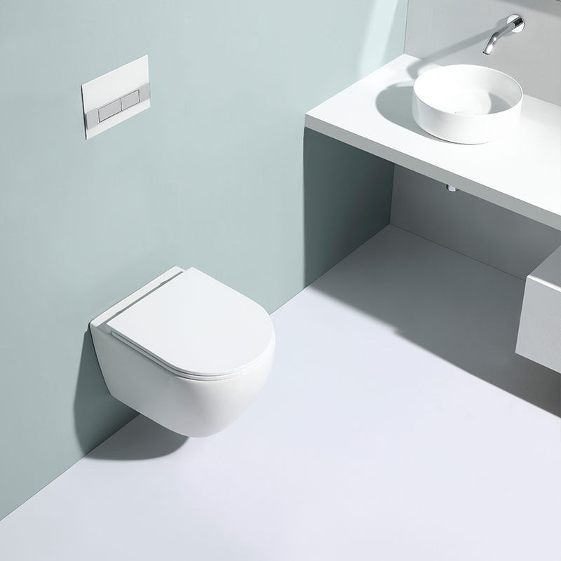 Wall-Hung Toilet 2479E – Contemporary Design with Quiet Soft-Close Seat & Eco Flush