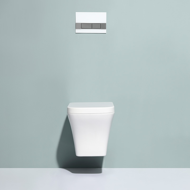 Wall Hung Toilet BF2482 with Washdown Flushing, Instant Heating and Remote Control