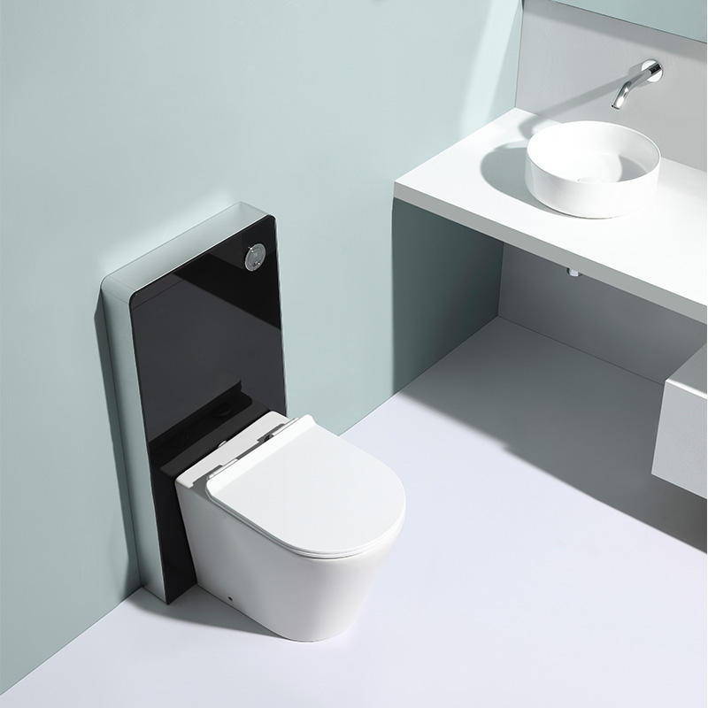 BF2580A Rimless Wall Hung Toilet | Ceramic Washdown Dual Flush 560x360x410mm