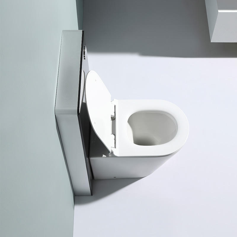 BF2580A Rimless Wall Hung Toilet | Ceramic Washdown Dual Flush 560x360x410mm