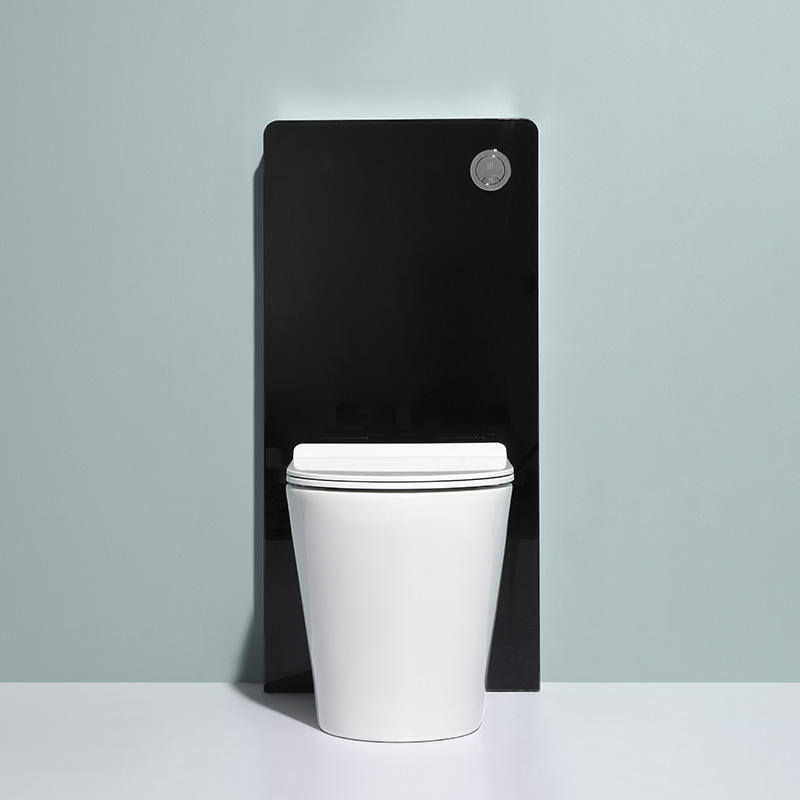 BF2580A Rimless Wall Hung Toilet | Ceramic Washdown Dual Flush 560x360x410mm