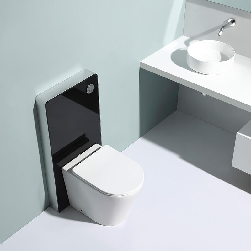 BF2580A Rimless Wall Hung Toilet | Ceramic Washdown Dual Flush 560x360x410mm