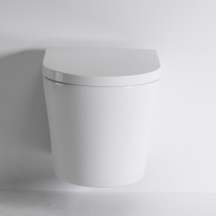inimalist-Wall-Mounted-Toilet-Innovative-Design-for-a-Modern-Bathroom