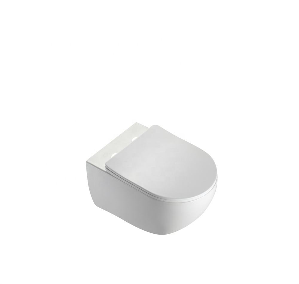 Super Swirl Wall Hung Toilet