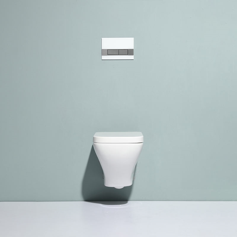Wall-hung Toilet