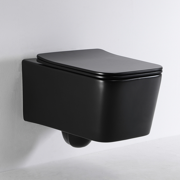 Modern Rimless Wall Hung Toilet Ceramic Floating WC Dual Flush Soft Close Seat