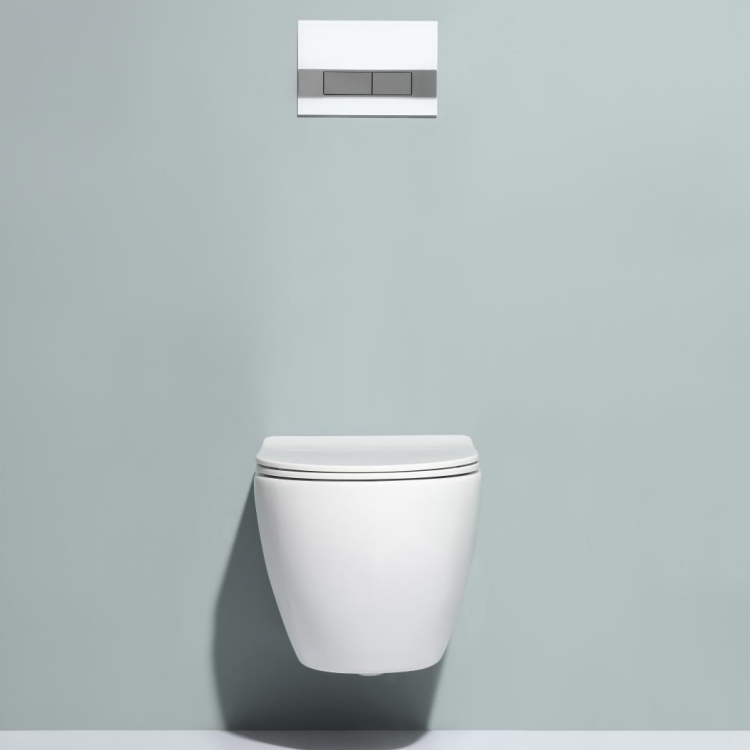 Rimless Wall Hung Toilet