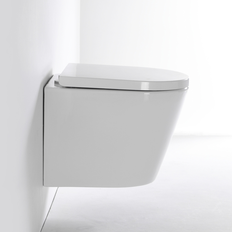 inimalist-Wall-Mounted-Toilet-Innovative-Design-for-a-Modern-Bathroom