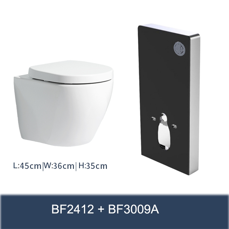 BF2412 Rimless Wall Hung Toilet with Concealed Cistern Frame Set BF3003GC Glass Chrome Flush Plate