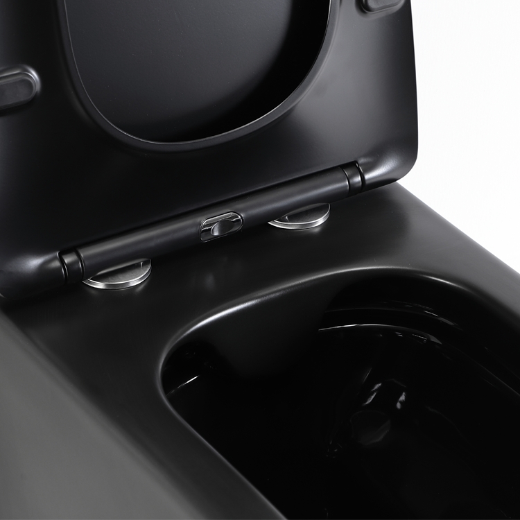 Modern Rimless Wall Hung Toilet Ceramic Floating WC Dual Flush Soft Close Seat