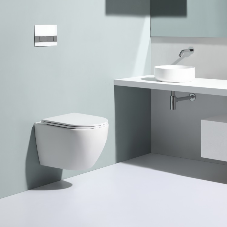 BF2379 Ceramic Rimless Wall Hung Toilet with Washdown Flushing and Self-Cleaning