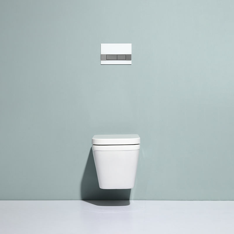 BF2472 Wall-Hung Toilet 530×345×350mm Washdown Flushing Soft Close UF Seat