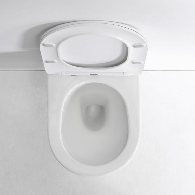 BF2418 Compact Ceramic Wall-Hung Toilet with Washdown Flush and Soft-Close UF Seat