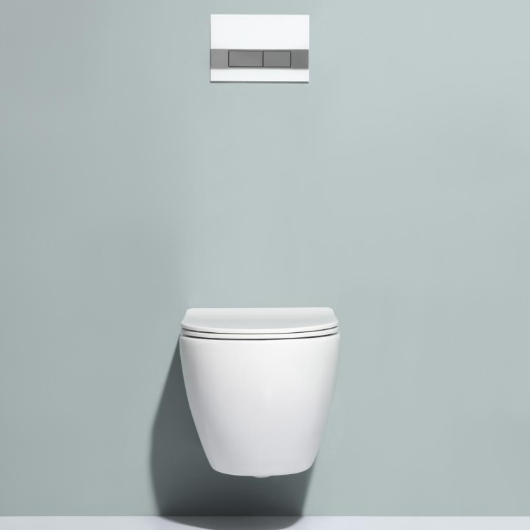 BF2379 Ceramic Rimless Wall Hung Toilet with Washdown Flushing and Self-Cleaning