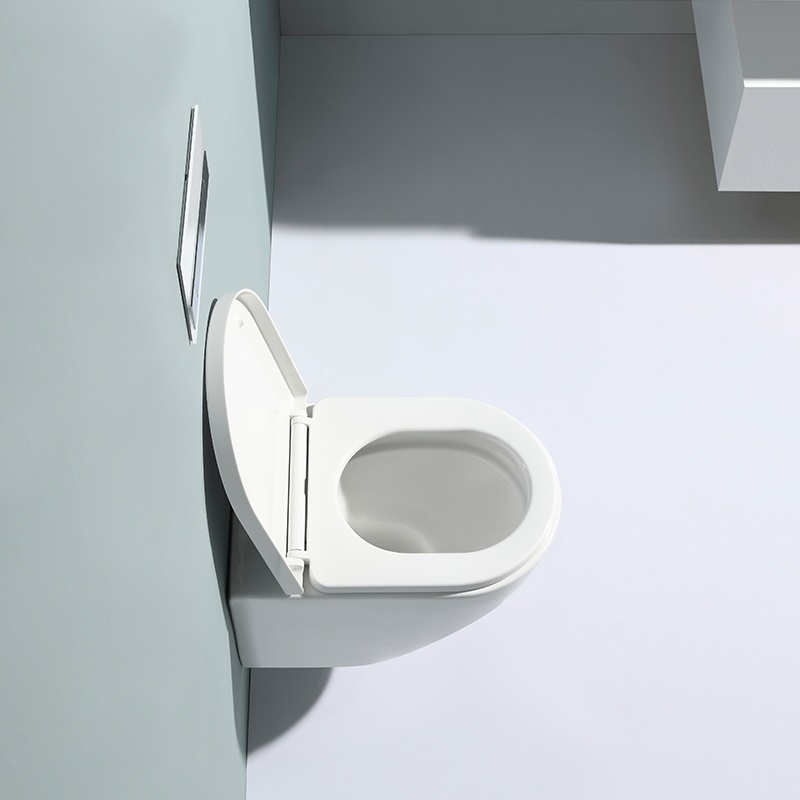 WC sospeso moderno senza brida in ceramica - Modello 2469