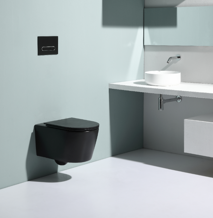 BF2366 Matt Black Wall-Hung Ceramic Toilet, 530×360×365 mm, 3/6 L Washdown Flush