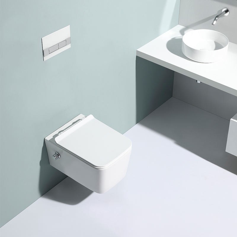 Wall Hung Toilet with Bidet Spray – Model BF2467E-BD