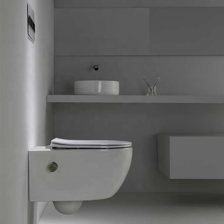 BF2468D-BD Wall-Hung Toilet with Built-in Shower Design, Nano Coating and Washdown Flushing