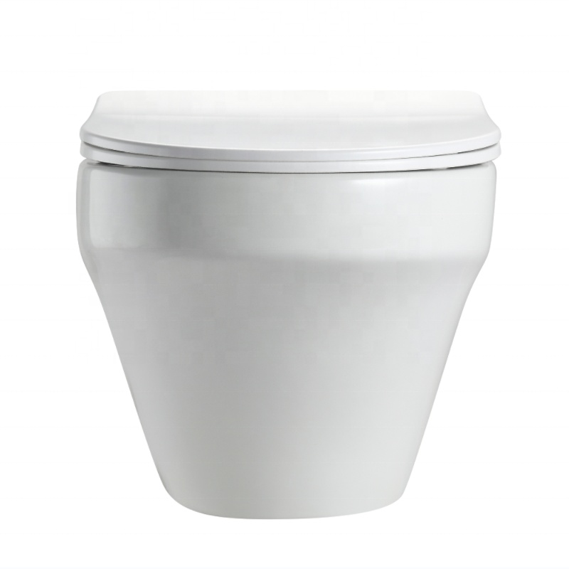 BF2462 Wall Hung Toilet with Soft Close Seat