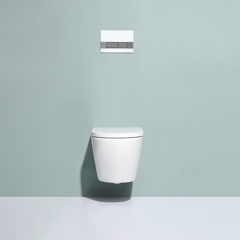 BF2476 Wall Hung Toilet Ceramic Toilet with Washdown Flushing and Soft Close UF Seat