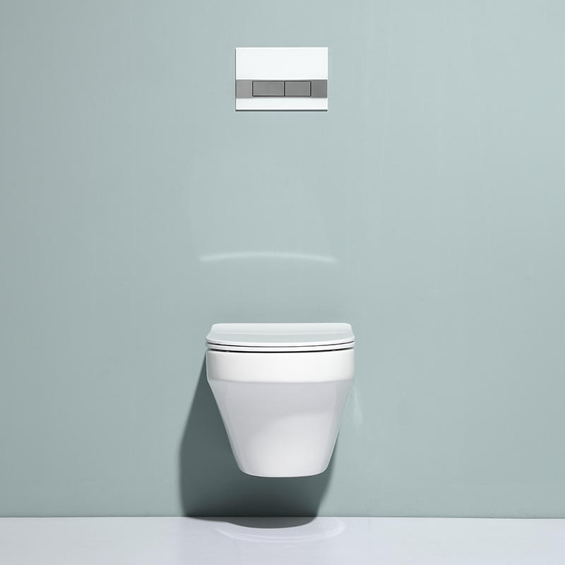 Nieuwe Vortex Wandtoilet
